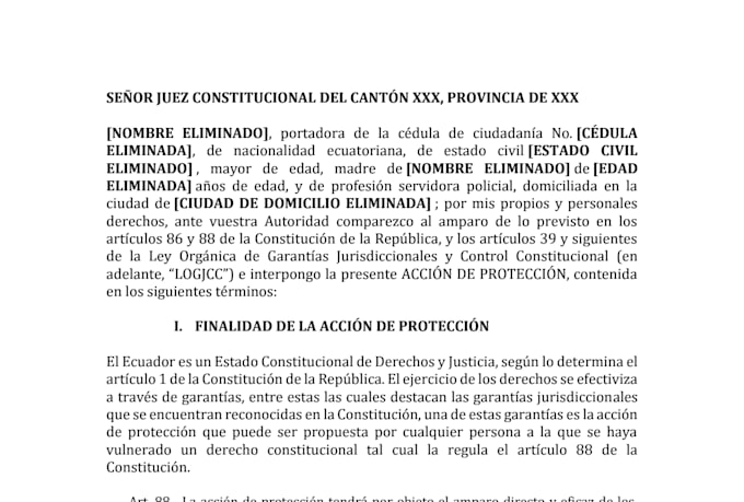 draft and translate diverse documentation